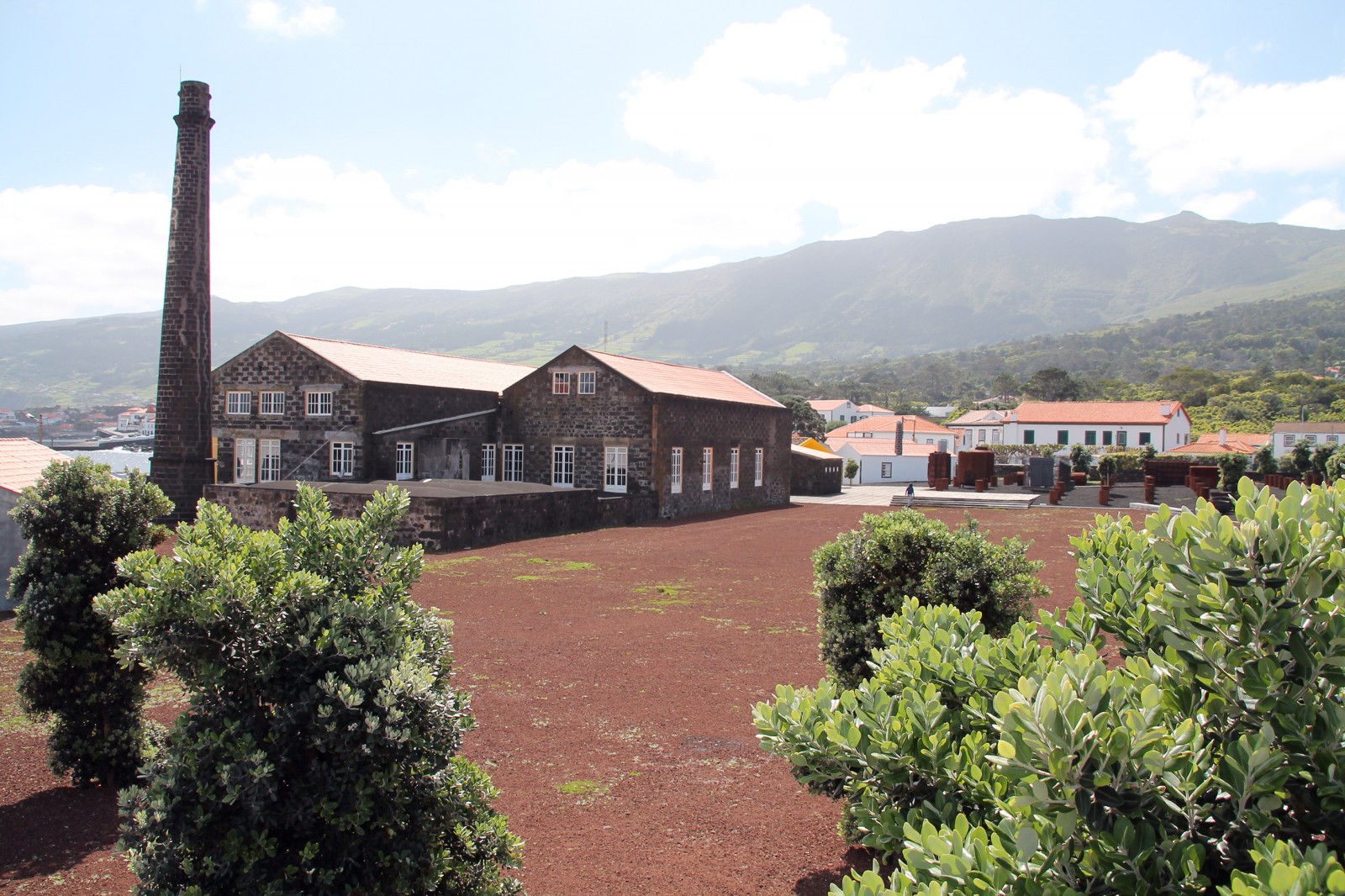 lorem ipsum dolor sit